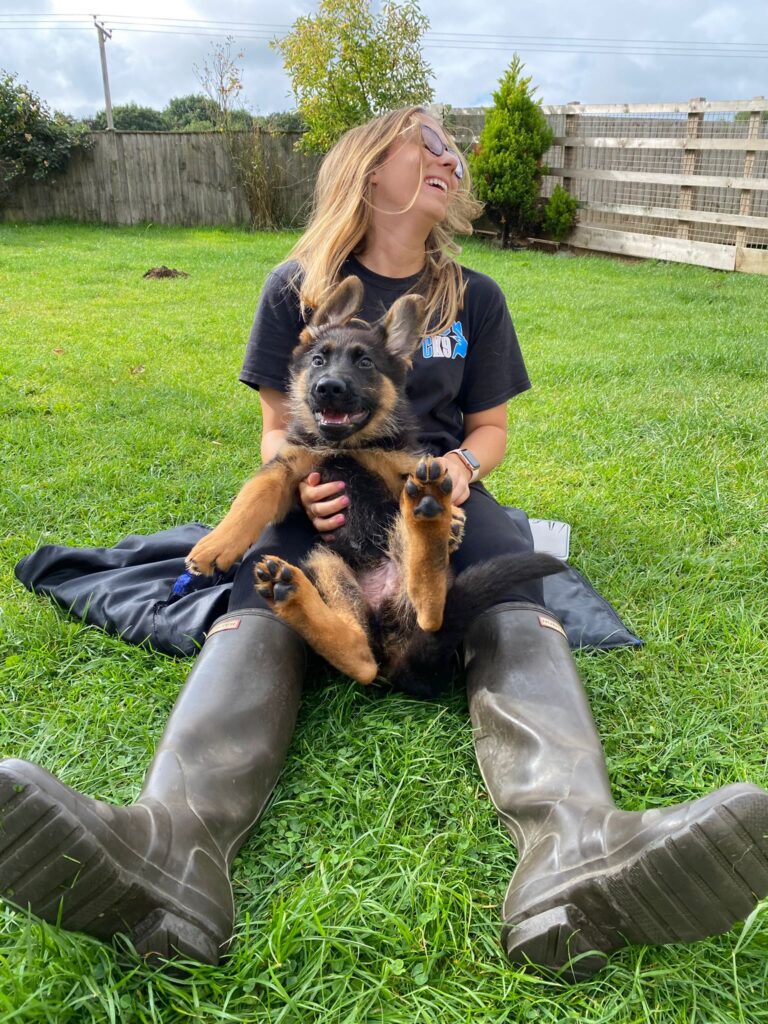 Protection Dog Training