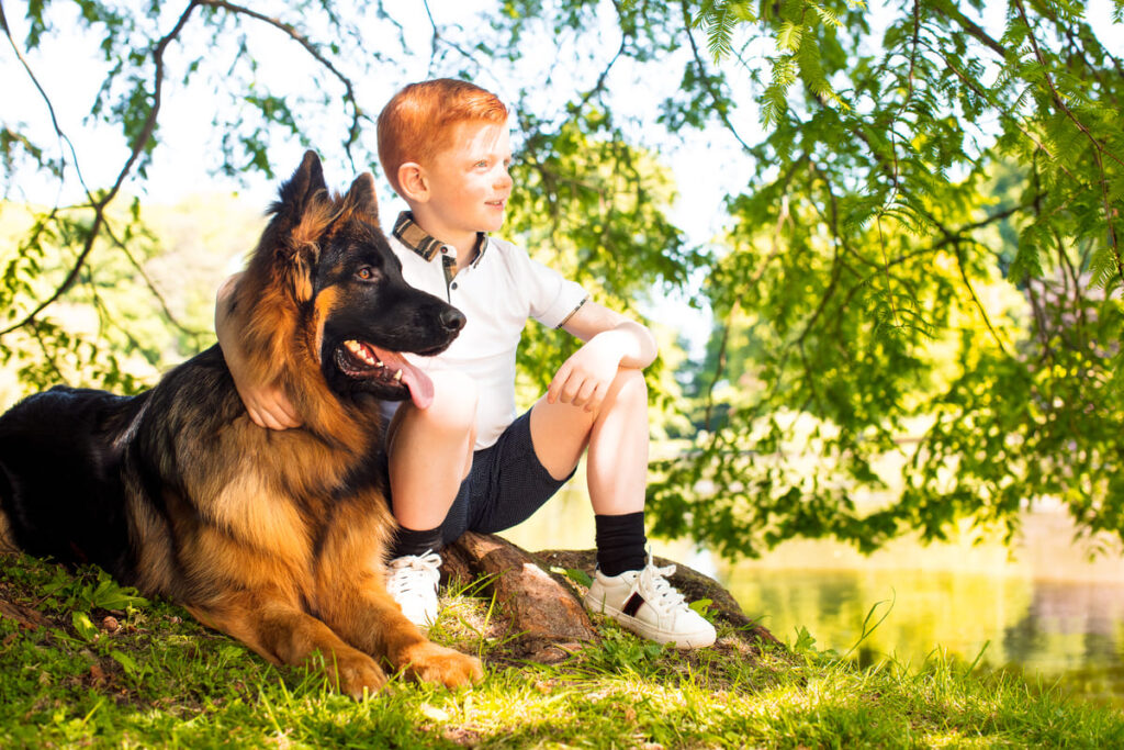 Best Guard Dogs for Families