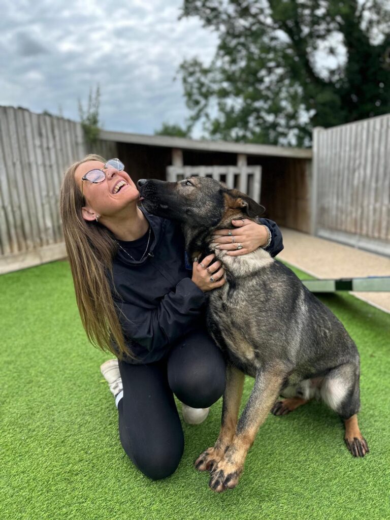 Protection dogs Altrincham