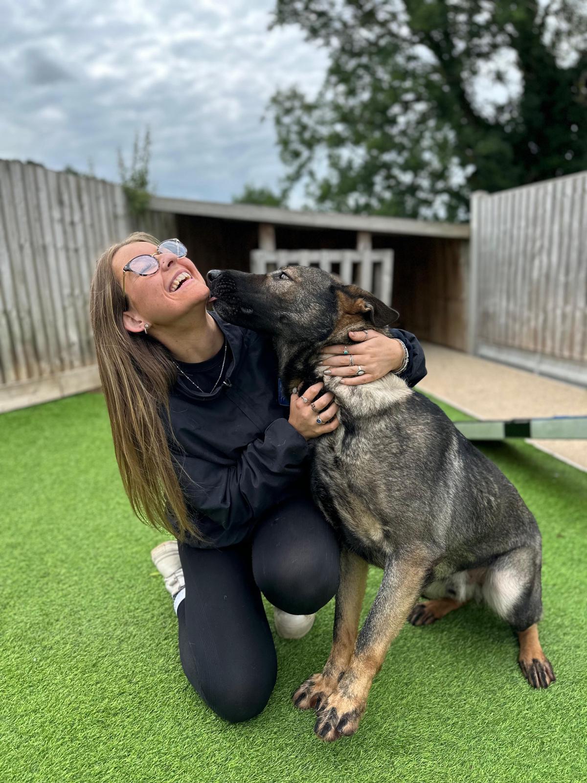 Protection dogs Altrincham