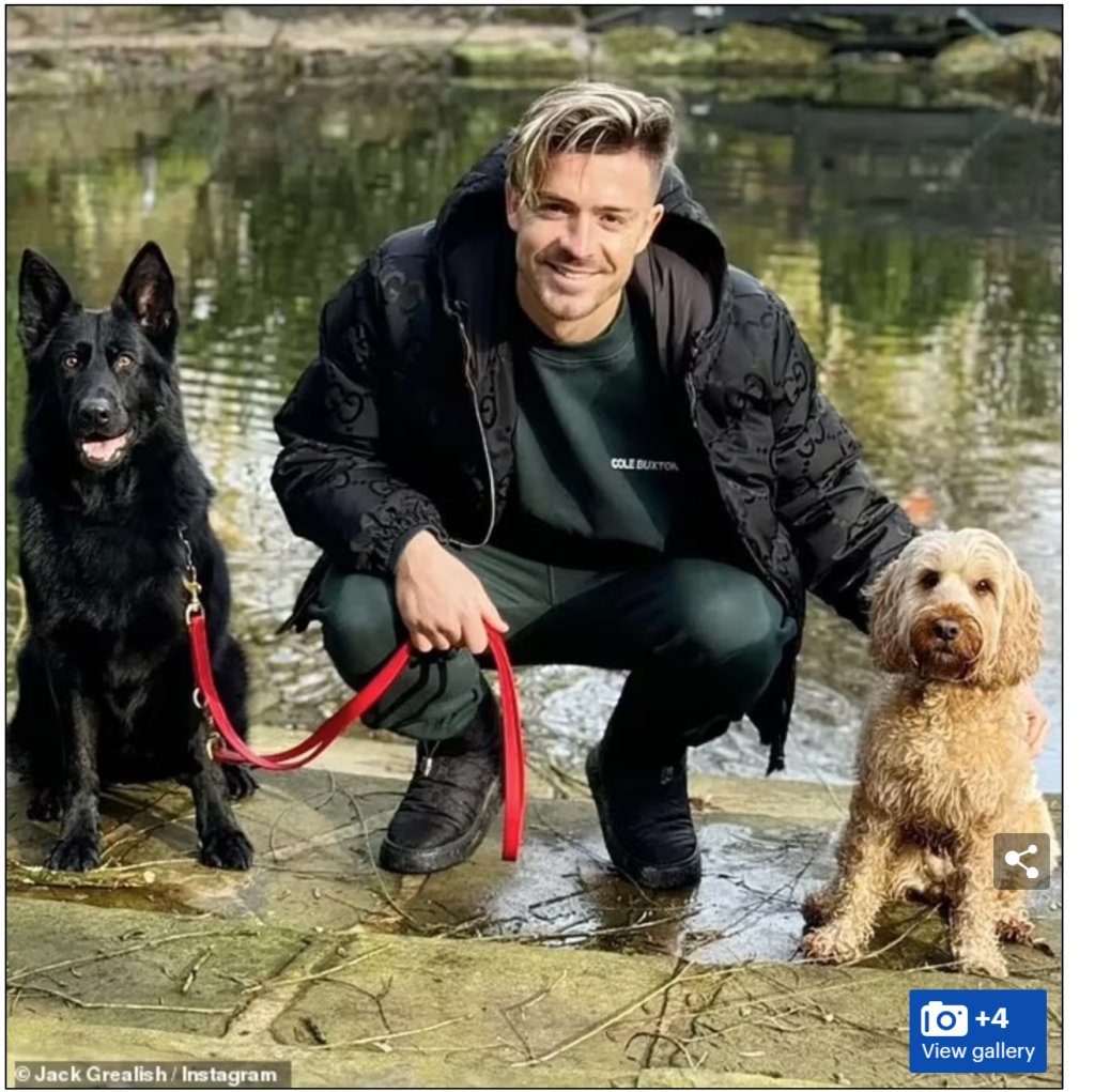 Jack Grealish poses with his family protection dog after £1million Boxing Day raid at his home